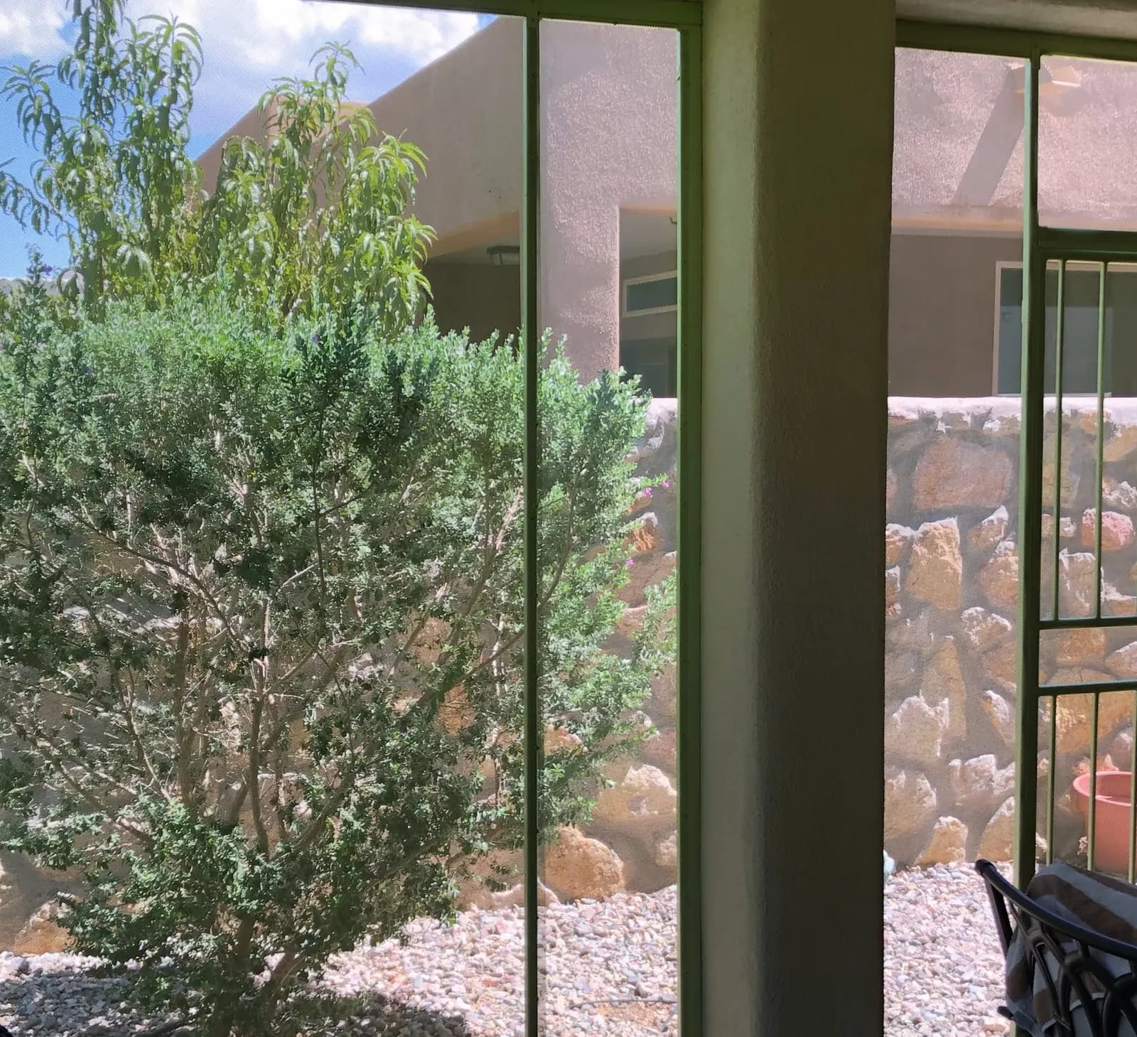 Inside a steel-framed patio screen enclosure looking out at the garden