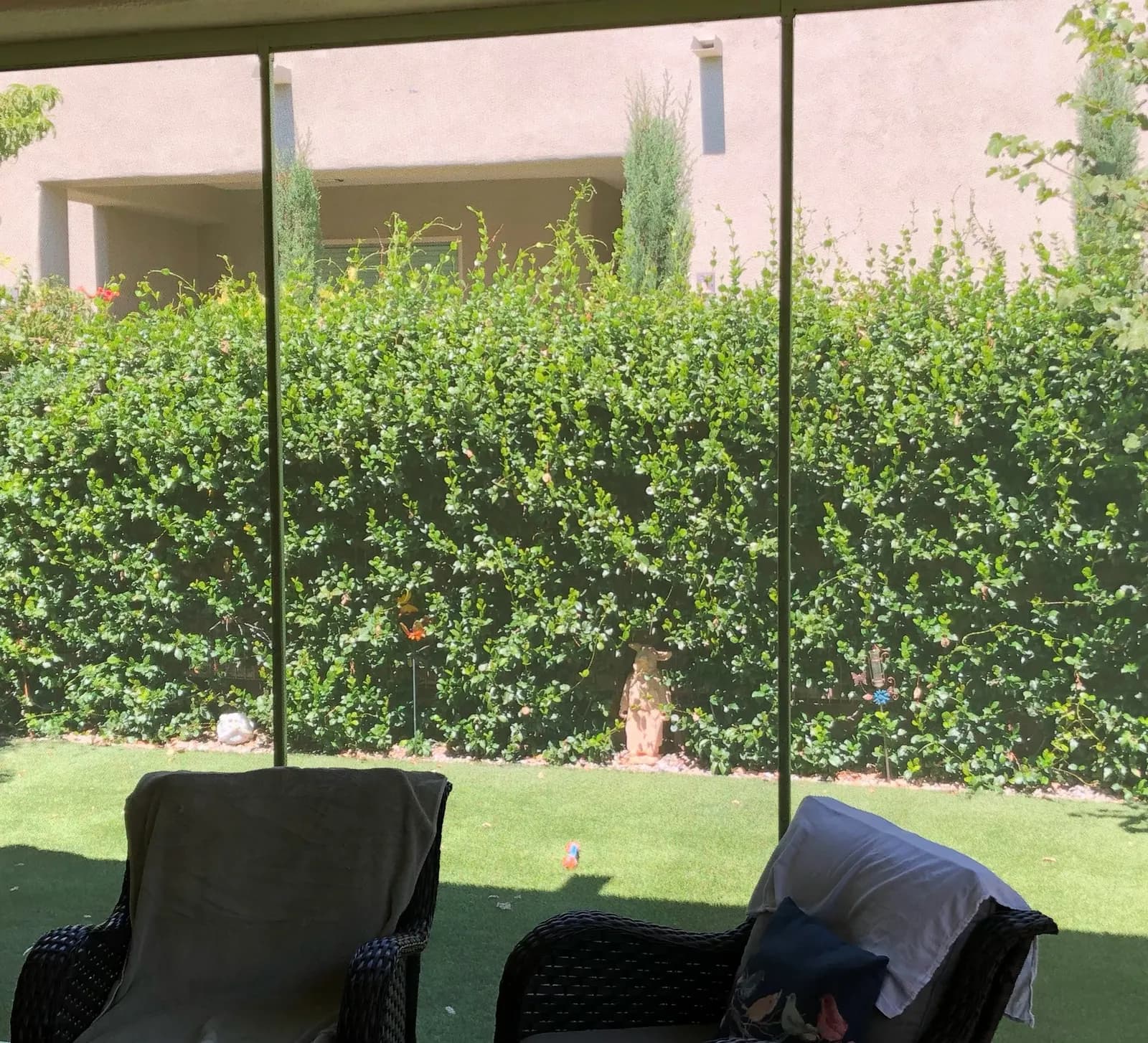 View through a screened patio enclosure onto a lawn and hedge