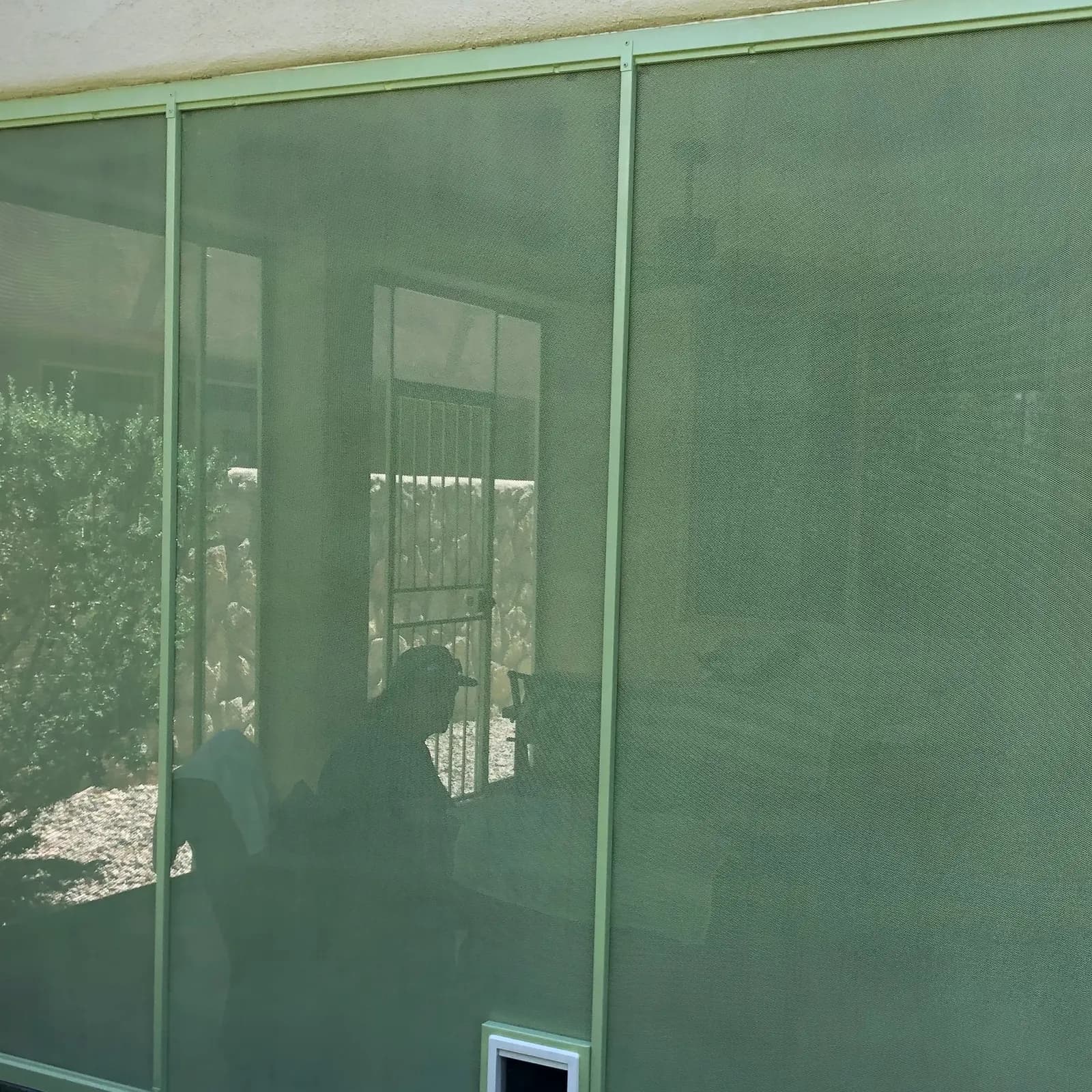 Green steel-framed screened patio enclosure on a Las Cruces home